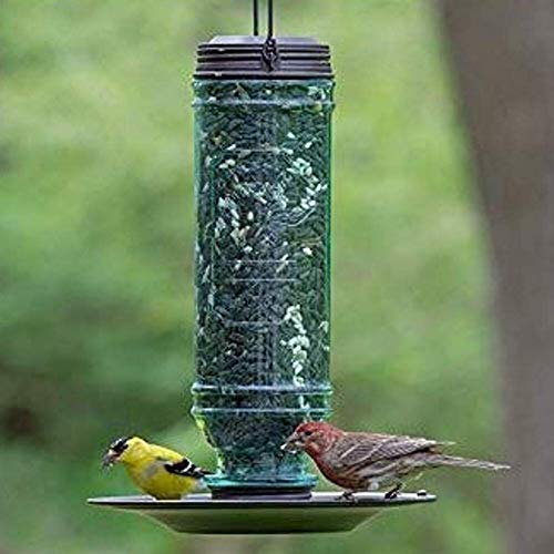 More Birds Songbird Vintage Bird Feeder, Sunflower and Thistle Feeder, 4 Feeding Ports, 1.5 lb Seed Capacity