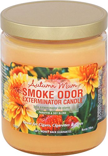 Smoke Odor Exterminator 13oz Jar Candle, Autumn Mum