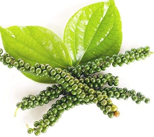 100Pcs Peppercorn Seeds Non-GMO Black Pepper Seed Organic Edible Plants Garden Outdoor Decoration Courtyard for Home Garden Yard