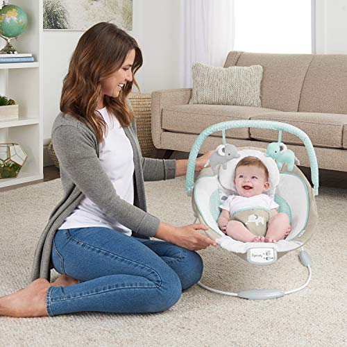 Ingenuity Soothing Baby Bouncer with Vibrating Infant Seat, Music