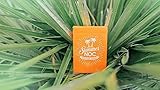 MTS Limited Edition Summer NOC Orange Playing Cards