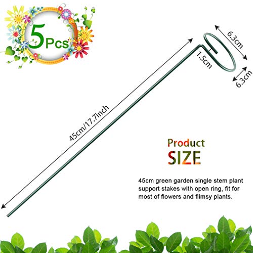 5 Pack Plant Support Stakes, Metal Single Stem Plant Support Stakes Garden Plant Cage Support Rings for Flowers Tomatoes Peony Lily Orchid Rose etc. (5Pcs Single Stem Plant Support)