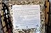 10 oz (Apx 1000) Moringa Seeds - Paisley Farm and Crafts