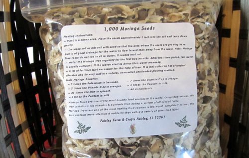 10 oz (Apx 1000) Moringa Seeds - Paisley Farm and Crafts 10 oz (Apx 1000) Moringa Seeds - Paisley Farm and Crafts
