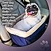Devoted Doggy Deluxe Dog Car Seat Fits Pets up to 15lbs, Dog Booster Seat, Padded Cushioning, Adjustable Straps, Metal Frame Encasing, Installs in Seconds, Collapsible Canvas and Easy to Clean