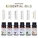 Essential Oils set Gift 6/10ml, Aromatherapy essential oil Basic Sampler Gift Set & Kit (Orange,Lavender,Tea Tree,Peppermint,Lemongrass,Rosemary)