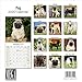 2024 2025 Pug Calendar - Dog Breed Monthly Wall Calendar - 12 x 24 Open - Thick No-Bleed Paper - Giftable - Academic Teacher's Planner Calendar Organizing & Planning - Made in USA