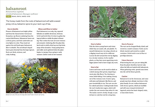 Mountain States Foraging: 115 Wild and Flavorful Edibles from Alpine Sorrel to Wild Hops (Regional Foraging Series) - Thumbnail 4