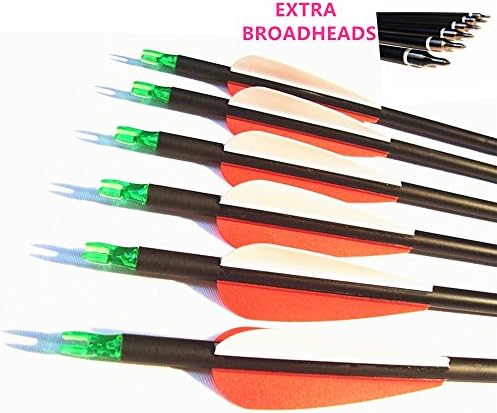 12PK Spine 450 Carbon Arrows Archery Hunting and Targeting Arrow with 100 Grain Points for Compound Recurve and Long Bow with Extra Field Tips (31 Inch)