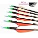 12pk 600 Spine Carbon Arrows Archery Hunting Targeting Arrow with 100 Grain Points for Compound Recurve and Long Bow with Extra Field Tips (31 Inch)