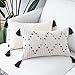 OJIA Farmhouse Black and Cream Lumbar Pillow Cover, 12 x 20 Decorative Throw Pillow Case Tribal Geometric Tufted Tassels Woven Cushion Cover Accent Neutral Collection for Sofa Couch Living Room