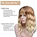 Akali Ombre Blonde Wigs for Women Natural Looking with a Satin Healthy Sheen Heat Resist Synthetic 14inch Curly Short Bob Wig with Air Bangs Blonde Wig for Daily Use