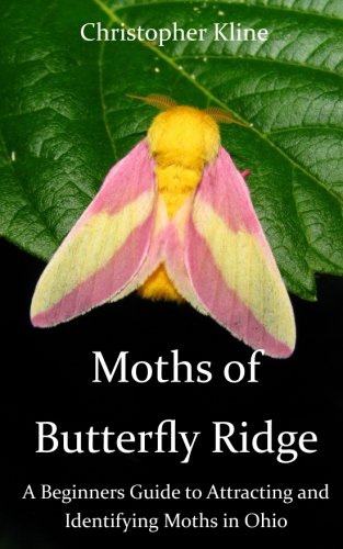 Common Moths Of Ohio