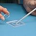 Microscope Slides, Carolina Deep-Well, Set of 5