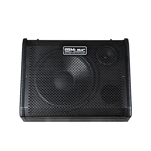 Coolmusic Electric Drum AMP 80-Watt Electronic Drum Amplifier DM80 Keyboard Speaker with Bluetooth, with 3-Year Warranty