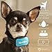 GoodBoy Small Dog Bark Collar For Tiny To Medium Dogs by Rechargeable And Waterproof Vibrating Anti Bark Training Device That Is Smallest & Most Safe On Amazon - No Shock No Spiky Prongs! (6+ lbs)
