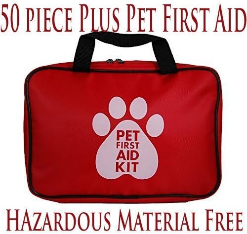 can you give dogs cat food