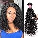 Dinoce Compatible with Longqi Hair Brazilian Curly Virgin Human Hair, 100% Unprocessed Remy Jerry Curl Hair Bundle 100g Natural Color 18 Inch