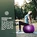 Forbidden Road Exercise Yoga Ball Yoga Balance Stability Swiss Ball Support up to 200 lbs