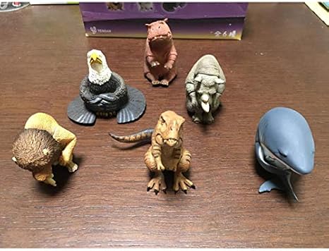 Amazon Co Jp 朝隈俊男 Animal Life 強くなれない動物たち 全6種セット Hobby Amazon Co Jp 朝隈俊男 Animal Life 強くなれない動物たち 全6種セット Hobby
