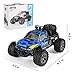 RC Car, 1:18 All Terrain Remote Control High-Speed Offroad 2.4Ghz 2WD Remote Control Monster Truck, Best Gift for Kids and Adults