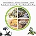 MOTINA Reptile Lamp Holder Clamp and Adjustable Lamp Light for Reptile Basking
