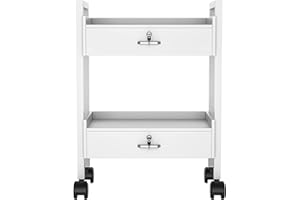 EILLEO Salon Beauty Cabinet Cart Trolley, Salon Tray Wooden Mobile Utility Cabinet with 2 Lockable Drawers, Rolling Storage Station Medical Esthetic Supply Holder for Beauty Spa
