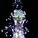 Excelvan Safe Low Voltage 10m/33ft 100 LED String Lights Copper Wire, USB Operated Waterproof Decorative Fairy Starry Lights for Christmas, Wedding, Home, Patio, Garden and Party, Holiday, Cool White
