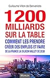 1200 milliards sur la table : Comment les prendre ? Créer des emplois et faire de la France la Sili by