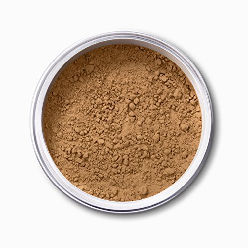 EX1 Cosmetics Pure Crushed Mineral Powder Foundation (11.0)