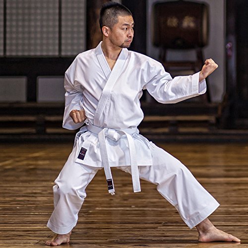 Buy Tokaido Japanese Karate Gi, TAW (Shikon) Online at desertcartUAE