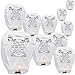 Sky Delight Memory Paper Chinese Sky Flying Floating Lantern, Pack of 10, White