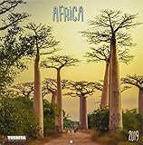 Africa 2019 (MINDFUL EDITIONS) by 