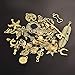 LANBEIDE Wholesale Bulk 50 Gram Antique Gold Assorted Charms Pendants DIY for Jewelry Making and Crafting