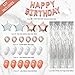 Sweet 16 Party Supplies by Serene Selection, Rose Gold Birthday Decorations for Girls, Photo Booth Props, Silver Fringe Foil Curtain, Cake Topper, Happy Birthday Balloons, Sash, Sixteen Decorations