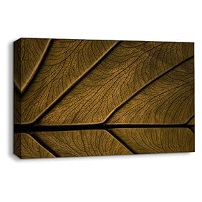 Leaf Veins Pictures Home Wall for Bedroom Living...