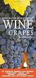 Vinifera: The World's Great Wine Grapes and Their Stories by