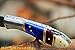 DKC Knives Sale (28 6/18) DKC-58-LJ-CL-DS Little Jay Classic Damascus Folding Pocket Knife Bone Handle 4
