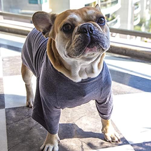 Impawsters Dog Accessory Fashion Dresses T-Shirt for Anniversary Party and Return Gifts Grey Tee Small Size 8