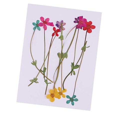 Imagenes De Flores Para Tarjetas De Invitacion