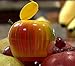 TERRO Fruit Fly Trap T2500
