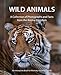 Wild Animals - Alzheimer's / Dementia / Memory Loss Activity Book for Patients and Caregivers by 