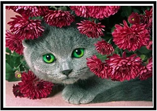 Animal, Beauty, Old Man Diamond Painting, Embroidery Paintings Rhinestone Pasted DIY Diamond Painting Cross Stitch Hobby Home Decor (C 40x30cm)