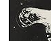 David Lynch: Lithos