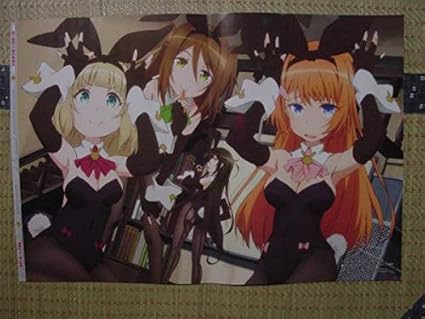 Amazon 対魔導学園35試験小隊鳳桜花 西園寺うさぎ 二階堂マリ バニー うたわれるもの 偽りの仮面ルルティエ お風呂 両面ピンナップポスター アニメ 萌えグッズ 通販
