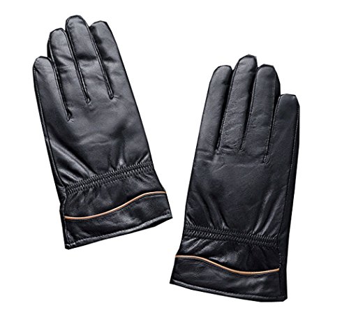 HINY Men's Premium Leather Plush Lined Driving Formal Casual Winter Gloves