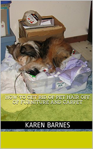 How To Get Rid Of Pet Hair Off Of Furniture And Carpet Kindle