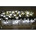 LE Christmas 50 LED Solar Flower Fairy String Lights, 23ft, Waterproof, Portable, Light Sensor, Outdoor Indoor Wedding Party Patio Holiday Celebration Festival Thanksgiving Decoration (Daylight White)
