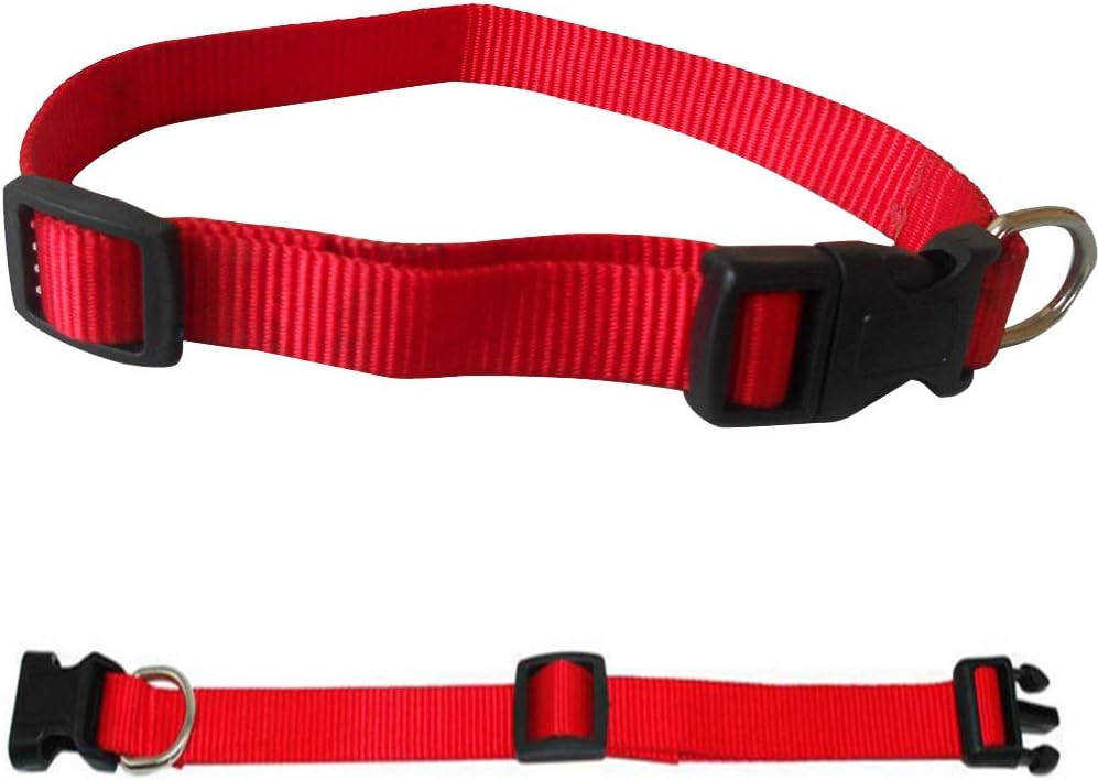 AEDILYS Adjustable Nylon Dog Collar Classic Solid Colors for Small Sized Dogs Neck, Multicolor: Sports & Outdoors