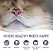 Wellness Complete Health Natural Dry Cat Food, Salmon & Salmon Meal Recipe, 12-Pound Bag
